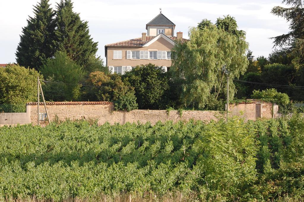 Le Montellier Bed & Breakfast Blacé Exterior foto